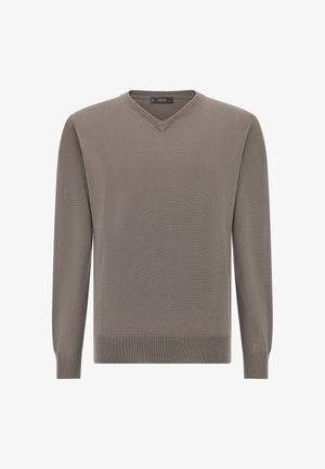 V-neck sweater in olive green, knit texture, long sleeves, ribbed cuffs and hem, label on collar. Simple design, no patterns or accents.