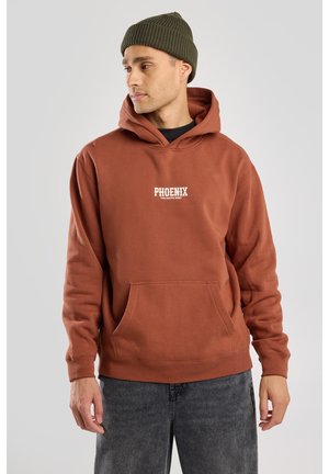 America Today Hoodie - new brown