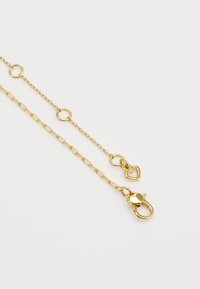 Goldene Kettenhalskette mit ovalen Gliedern, ausgestattet mit einem herzförmigen Anhänger und einem Karabinerverschluss zum Befestigen. Glatte Textur, minimalistisches Design.