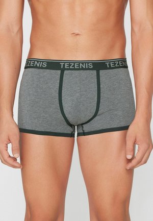 Männlicher Torso trägt graue Boxershorts mit dunkelgrünem Besatz und TEZENIS-Logo am Bund, stehend vor einem einfarbigen Hintergrund.