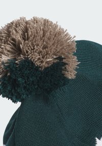 Knitted beanie in dark green with a large tan pom-pom on top. Features a textured pattern and soft, warm material for comfort.