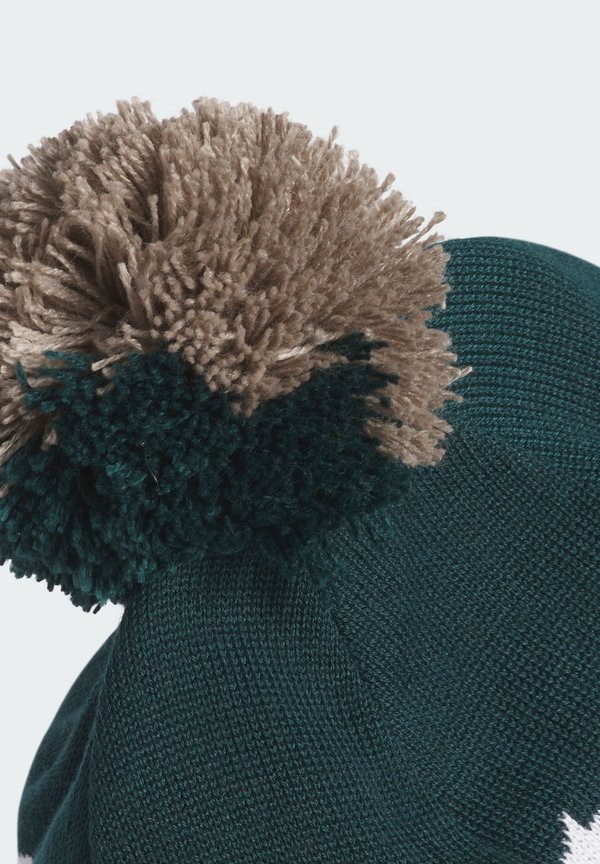 Beanie - aurora ivy3