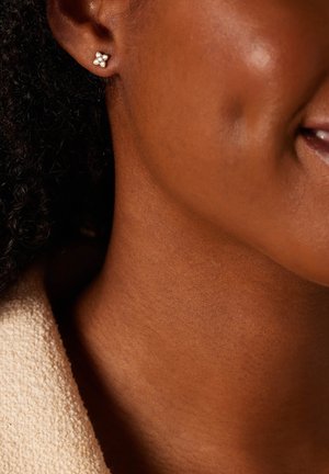 BASIC - Earrings - gold-coloured