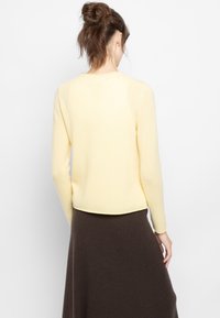 Dzeltena, garām piedurknēm, džemperis ar apaļu kakla izgriezumu, izgatavots no mīksta materiāla; apakšmalas garums ir jostas līmenī. Apvienots ar brūnu, plūstošu svārku.