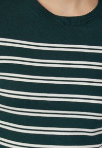 Dunkelgrüner Rundhalsausschnitt-Pullover mit weißen horizontalen Streifen. Der Stoff erscheint gestrickt, mit einer glatten Textur und einem gerippten Kragen.