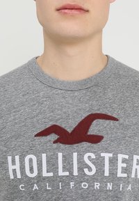 Grå bomullströja med rund hals och en röd broderad måslogotyp ovanför texten "HOLLISTER CALIFORNIA" i vitt.