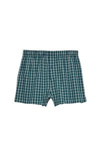 Calzoncillos tipo boxer en un patrón de cuadros en verde azulado y blanco, hechos de algodón. Presentan una cinturilla elástica y un cierre de un solo botón en el frente.