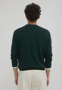 Calliope PROFILI CONTRASTO FIN  - Strickpullover - vert