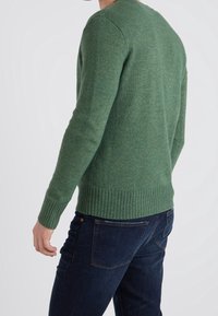 Grüner, strukturierter Pullover mit geripptem Saum, rundem Halsausschnitt und langen Ärmeln, kombiniert mit dunklen Jeans, Seitenansicht sichtbar.