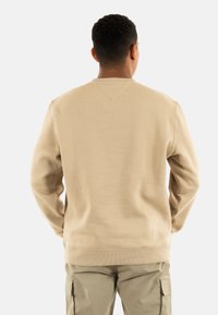 Felpa beige con colletto rotondo e polsini a costine, con dettagli di cucitura a forma di V sul retro. Tessuto morbido e vestibilità comoda.