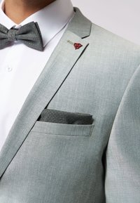 ROY ROBSON SET - Pochet - gruen