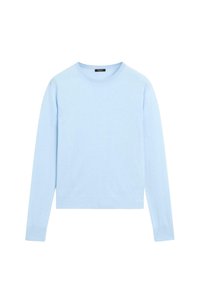 Light blue, long-sleeve sweater made from soft material. Features a crew neckline, ribbed cuffs, and a straight hem design.