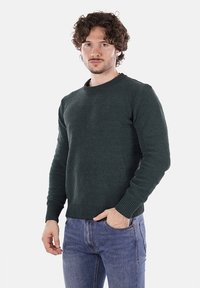 Maglione lavorato a maglia verde scuro con collo rotondo e maniche lunghe, con polsini e orlo a coste, indossato con jeans blu.