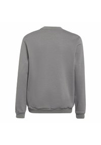 Grå langermet sweatshirt med rund hals, ribbestrikkede mansjetter og kant, laget av mykt stoff, med en jevn tekstur og minimalistisk design.