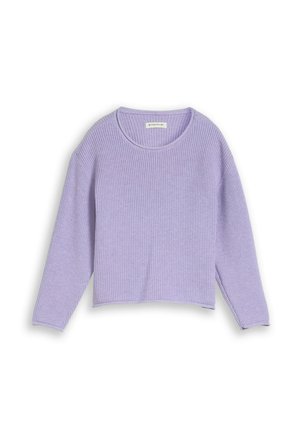 Hellvioletter gerippter Pullover mit langen Ärmeln, rundem Ausschnitt und leicht gekürztem Saum.