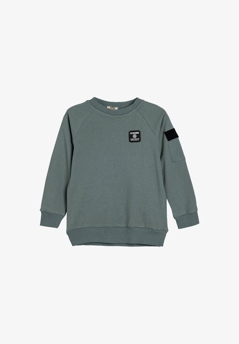 Sudadera verde de algodón con cuello de punto, mangas largas tipo raglán y un parche de logo negro en la parte delantera y en la manga. Textura suave.