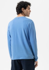 Langarmshirt van lichtblauwe katoen, met een ronde halslijn en rechte snit. De achterkant toont een gladde textuur en een minimaal ontwerp.