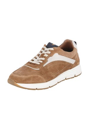 LOW SNEAKER - Sneakers laag - braun