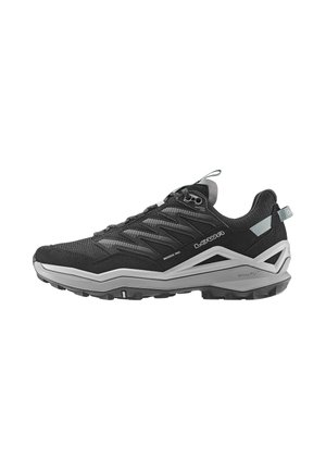 Hiking shoes - black