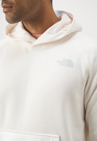 The North Face RAGLAN BOX HOODIE - Jersey con capucha - white dune/muted pine