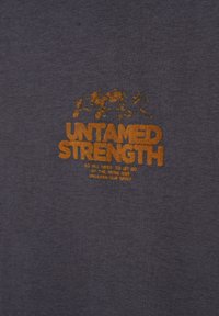 Grijs katoenen T-shirt met oranje tekst "UNTAMED STRENGTH" en een bergafbeelding erboven. Gladde textuur, casual ontwerp.