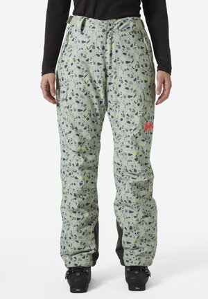 SWITCH CARGO INSULATED - Pantalones de esquí - mellow grey granite