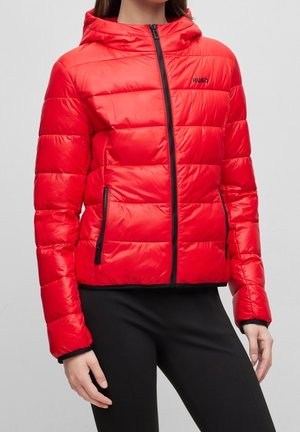 Czerwona pikowana kurtka z kapturem, czarnym zamkiem błyskawicznym i kieszeniami, noszona przez osobę w czarnych spodniach, przycięta od szyi do bioder.