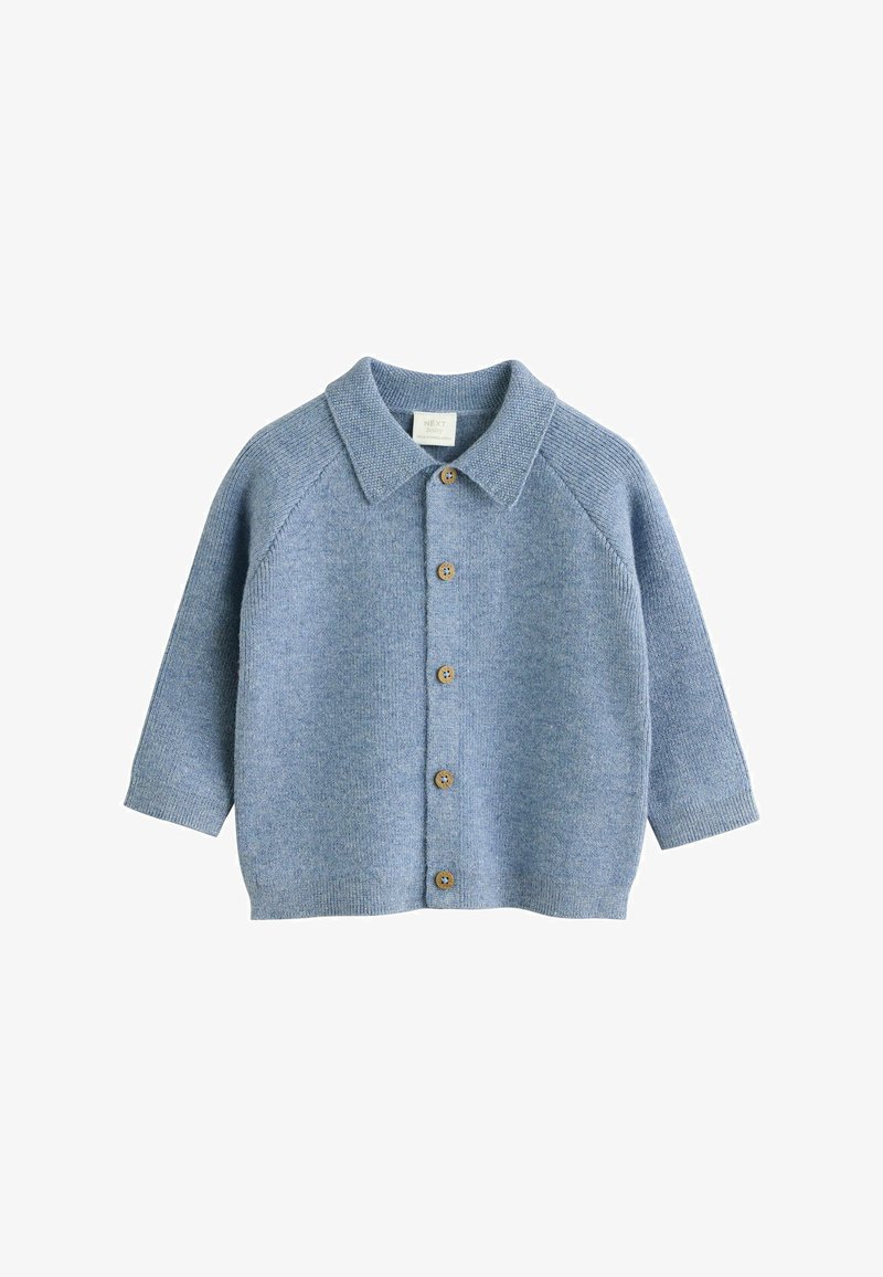 Light blue knitted sweater with a collar, raglan sleeves, and five brown buttons down the front. Soft texture and relaxed fit.