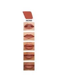 Rouge à lèvres liquide mat en "Amazonian" ; un swatch d'une teinte terracotta profonde au-dessus de cinq looks de lèvres montrant différentes finitions et textures.