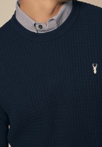Next Strickpullover - blue