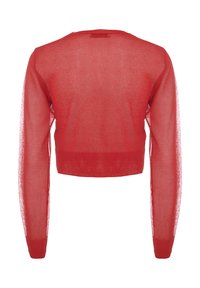Maglione cropped leggero rosso a maniche lunghe con una texture trasparente e orlo a coste. Design semplice senza hardware visibili o motivi.
