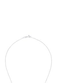 Collana con catenina d'argento a trama delicata e fine, dotata di chiusura a moschettone e design minimalista.