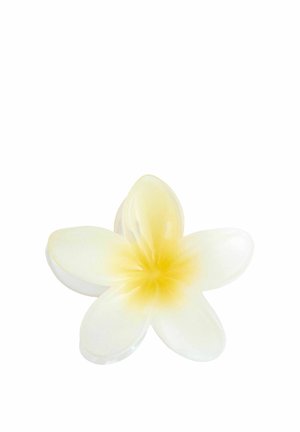 Weiße und gelbe Plumeria-Blume mit fünf Blütenblättern auf weißem Hintergrund.