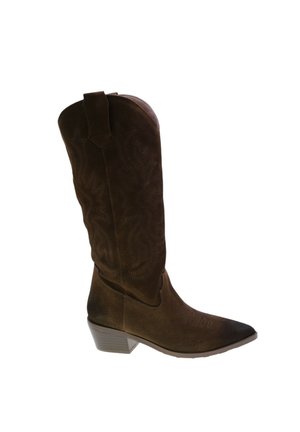Stivale in suede marrone in stile western con punta affusolata, cuciture decorative, tacco a blocco e un motivo testurizzato sul gambale.