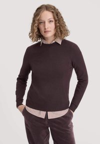Brauner gestrickter Pullover mit langen Ärmeln und Rundhalsausschnitt, getragen über einem hellrosa gestreiften Shirt. Glatte Textur und figurbetonter Schnitt.