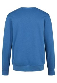 Blå crewneck sweatshirt med långa ärmar, ribbade muddar och nederkant. Slät textur och enhetlig färg, inga synliga mönster eller dekorationer.