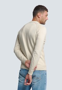 Beige katoenen trui met een ronde hals, geribde manchetten en naaddetails, gecombineerd met blauwe denim jeans. Model staat met de handen op de rug.