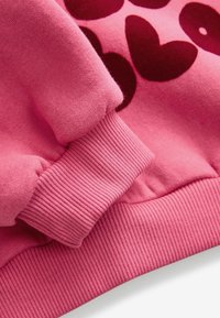 Next LOVE RAGLAN  REGULAR FIT - Mikina - pink