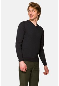 Sweter z dekoltem w szpic, z długim rękawem w ciemnoszarym kolorze, wykonany z miękkiego materiału, o dopasowanym kroju oraz prążkowanych mankietach i dolnej części; połączony z oliwkowymi spodniami.
