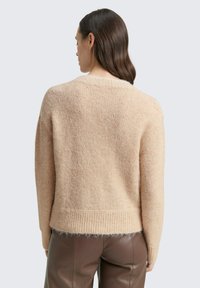 Beige gestrickter Pullover mit lockerer Passform, rundem Ausschnitt und geripptem Saum. Der Stoff hat eine weiche Textur und einen leichten Glanz.