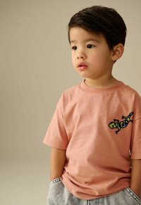 Next SHORT SLEEVE - Triko s potiskem - rust brown