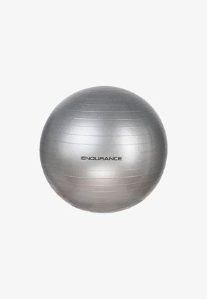 Hopeapintainen liikuntapallo, jossa on tekstuuroitu pinta vaakasuorilla urilla ja mustalla painettuna "ENDURANCE" -logo. Tavanomainen pyöreä muoto.