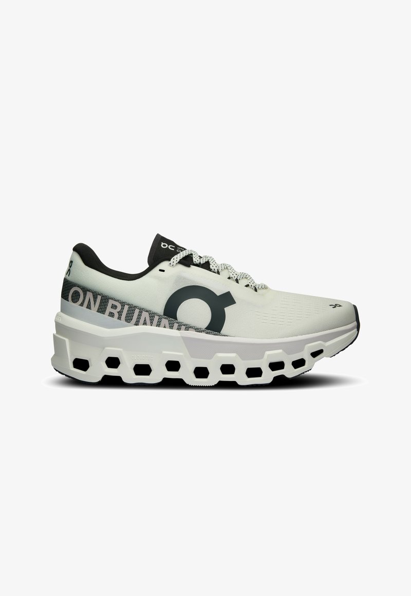 On CLOUDMONSTER 2 - Laufschuh Straße - undyed frost