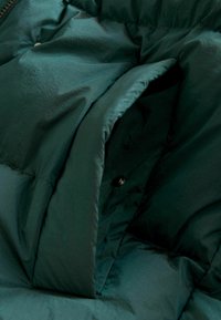 Next REGULAR FIT - Geacă - green