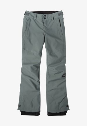 Szare wodoodporne spodnie narciarskie z regulowanymi paskami w talii, przednimi kieszeniami, wzmocnionymi kolanami oraz wewnętrznymi ochraniaczami na nogi zapinanymi na zatrzaski.
