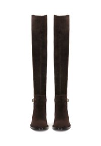 Stivali alti in suede marrone con un design elegante, una texture morbida e un sottile dettaglio in hardware dorato vicino alla caviglia.