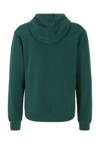 Fila BENGEL LANGARM LOGO EINFARBIG - Felpa con cappuccio - forest biome