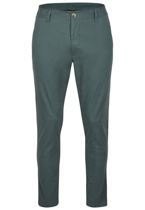 Groene katoenen chinos met een slim fit, voorzien van een knoopsluiting aan de voorkant en zakken. De stof heeft een soepele textuur en een minimalistisch ontwerp.