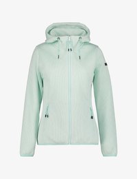 Sélectionné, light green