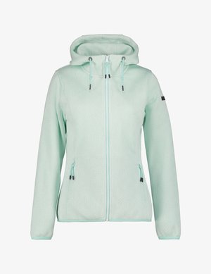 Icepeak, ADRIAN - Outdoorjakke - light green